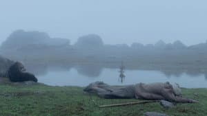 Sona Dhwandi Bhed Te Suchha Pahad — foto 3