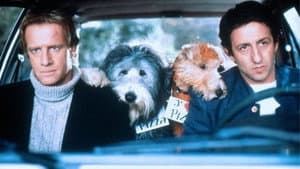 Hercule et Sherlock — foto 3