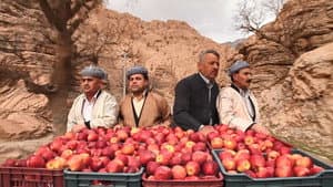 هەزار و یەک سێو — foto 5