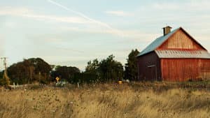 Farm Crime — foto 1