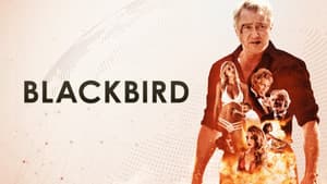 Blackbird — foto 9
