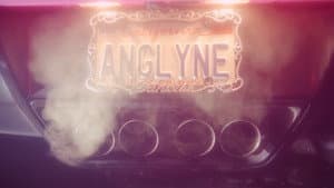 Amazing Angelyne — foto 1