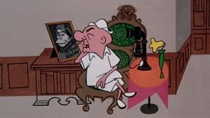 Madcap Magoo — foto 1