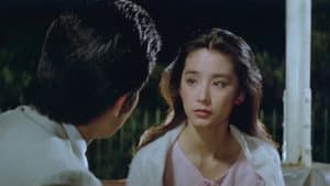 金盞花 — foto 2