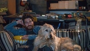 Dia De Perros — foto 3