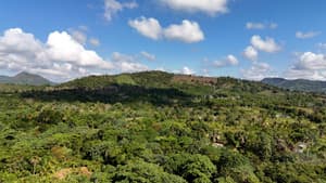 Mamá Tingó: Memoria viva de la tierra dominicana — foto 5