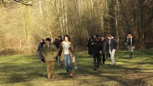 Tout nous sourit — foto 4