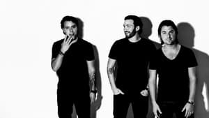 Swedish House Mafia: Live at Ultra Music Festival, Miami — foto 1
