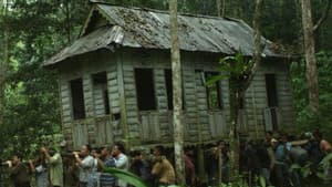 Lelaki Harapan Dunia — foto 4