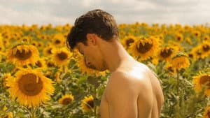 Sunflower — foto 6