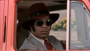 The Candy Tangerine Man — foto 4