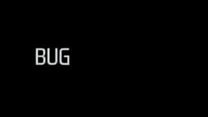 Bug — foto 2