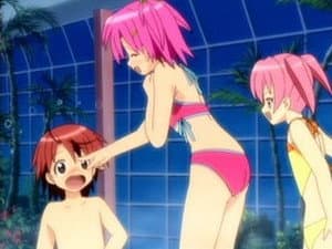 Episodio 5