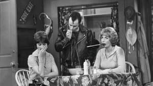 Laverne & Shirley — foto 9