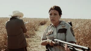Texas Cotton — foto 2