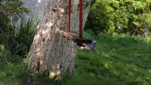 Prach — foto 7