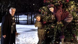 Weihnachten … ohne mich, mein Schatz! — foto 1