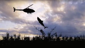 Sharks of the Corn — foto 3