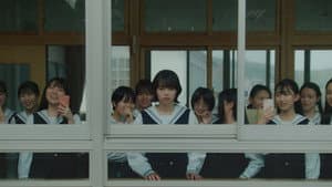 インビジブルハーフ — foto 1