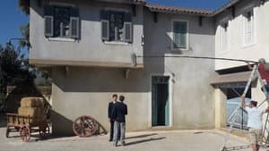 Άγριες Μέλισσες — foto 2