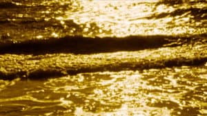 A Preponderance of Evidence — foto 2