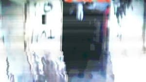 Marble Hornets: Rosswood — foto 1