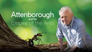Attenborough and the Empire of the Ants — foto 12