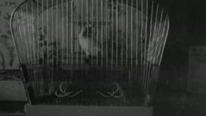 S.O.S. Fonske — foto 1