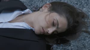 Episodio 24