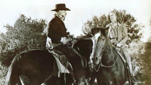 Swing, Cowboy, Swing — foto 1