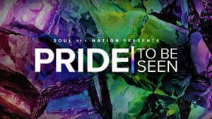 PRIDE: To Be Seen - A Soul of a Nation Presentation — foto 3