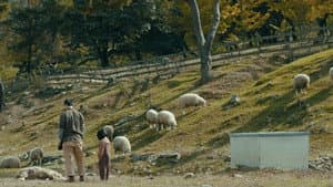 정말 먼 곳 — foto 2