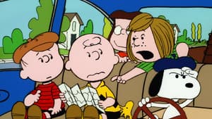 ¡Buen viaje, Charlie Brown, y no vuelvas! — foto 1