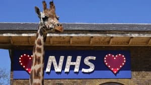 London Zoo: An Extraordinary Year — foto 2