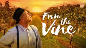 From the Vine — foto 4