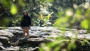 Quando Rio Perde Chão, Ele Vira Cachoeira — foto 1