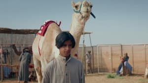 هجّان — foto 11