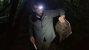 Episodio 8