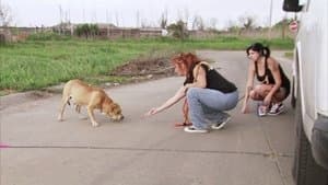 Episodio 2