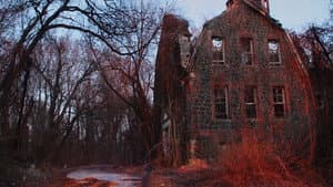 Cropsey — foto 1