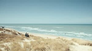 Klumpfisken — foto 8
