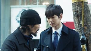 그물 — foto 4
