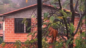 Esta casa ya no nos alberga — foto 1