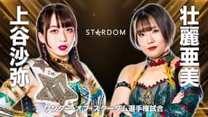 TRIANGLE DERBY Ⅰ in Nagoya ～名古屋来てちょうよスターダム～ — foto 1