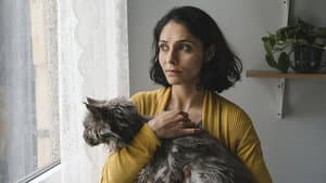 Die defekte Katze — foto 6