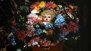Dites-le avec des fleurs — foto 4