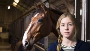 De Vloek van Manege Pegasus — foto 2