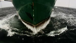 Leviathan — foto 5