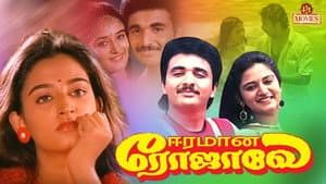 ஈரமான ரோஜாவே — foto 1