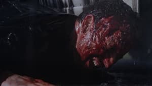 Acide — foto 2